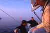 GraysReef11 GraysReef11