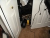 Closet. Closet.